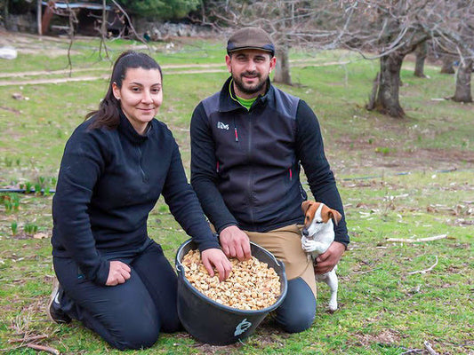 NOELLIE ANDREUCCI - La charcuterie corse authentique