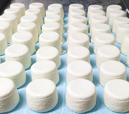 Fromage corse : Tomme de chèvre au lait cru - Passione