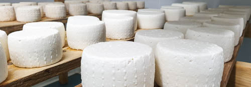 Fromage corse : Tomme de chèvre au lait cru - Passione