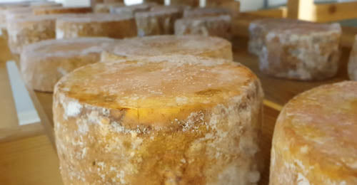 Fromage corse : Tomme de chèvre au lait cru - Passione