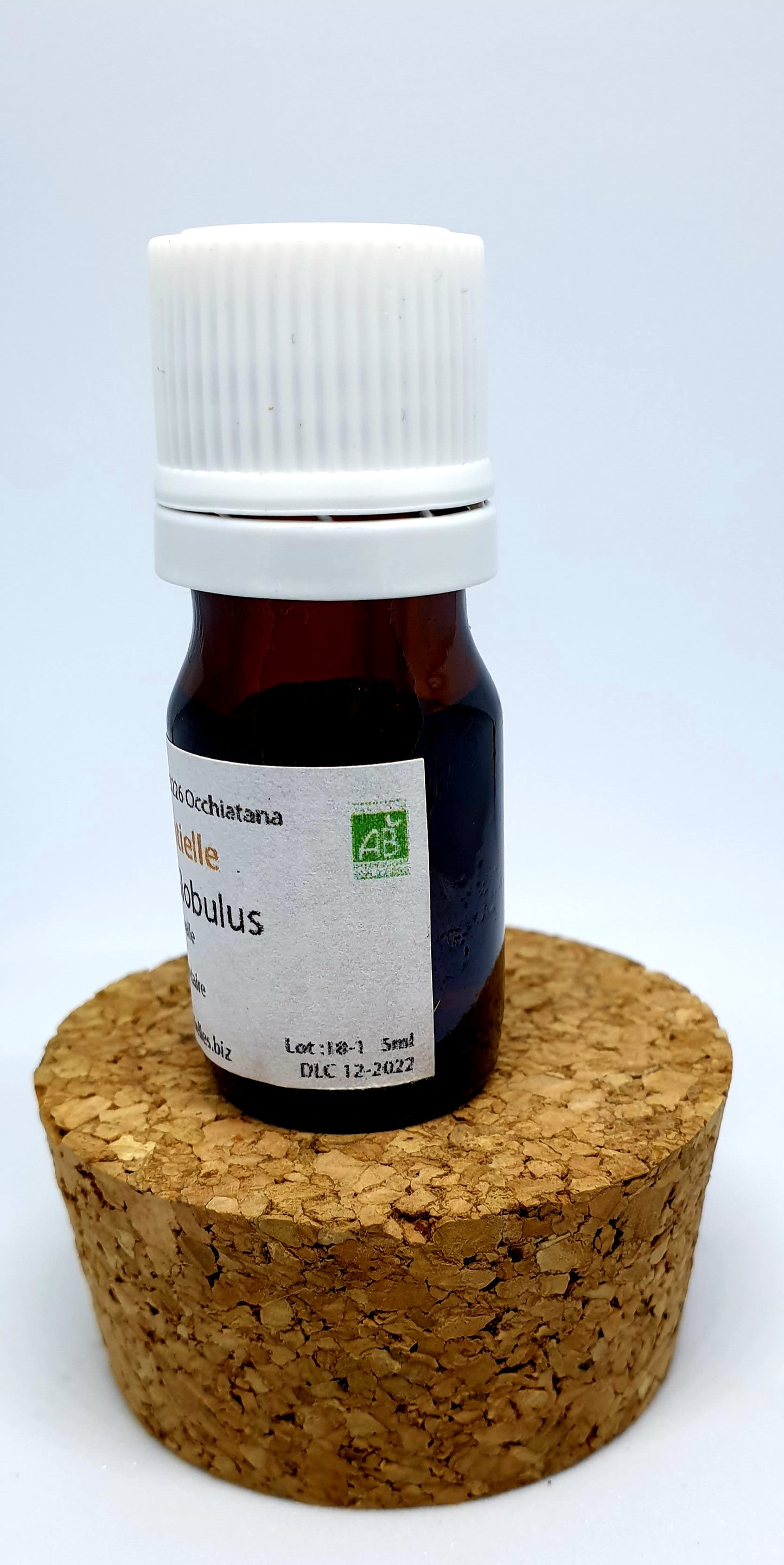 Huile Essentielle Eucalyptus Globulus BIO – Respirez ! –