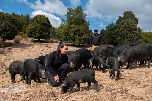 Jambon / U Prisuttu Corse Fermier