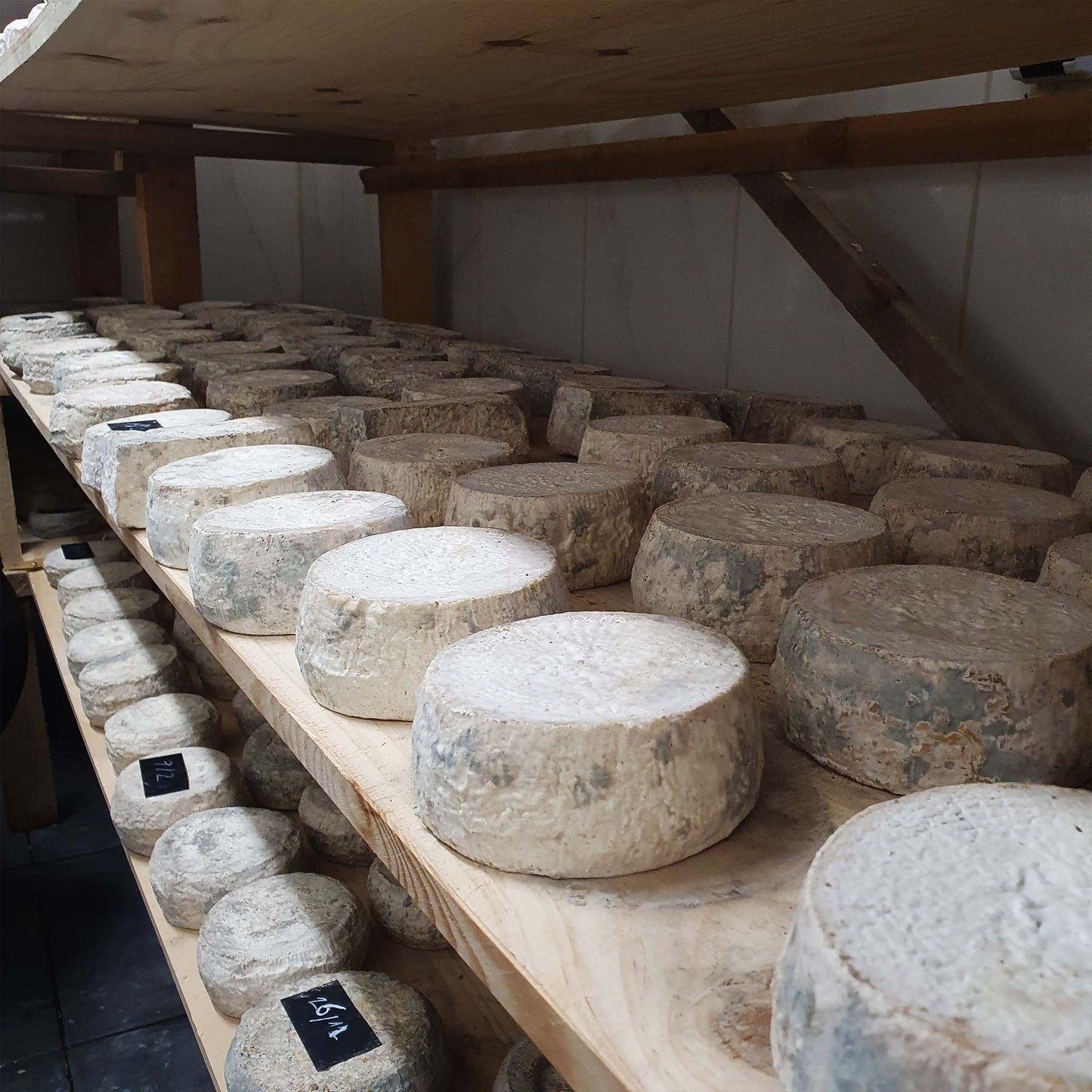 Fromage affiné sur bois - San Martinu - ETHICORSE