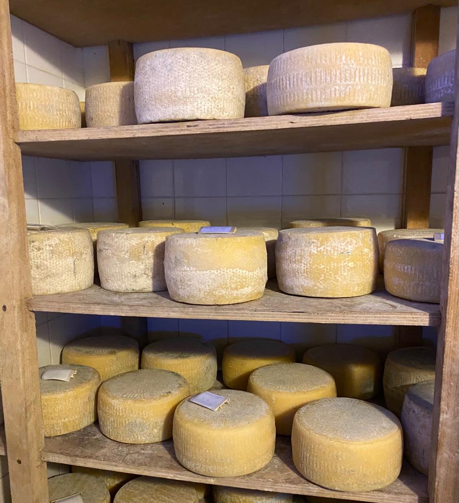 Cave fromages 2 affinage fermier - U Diceppu - Ethicorse