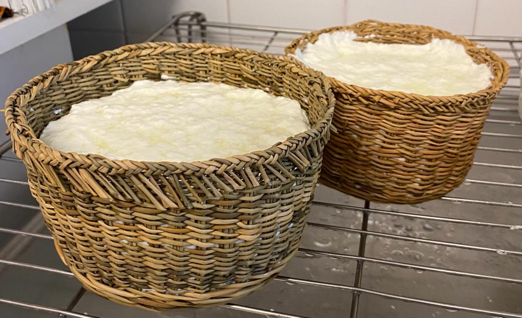 Brocciu fromages traditionnels - U Diceppu - Ethicorse