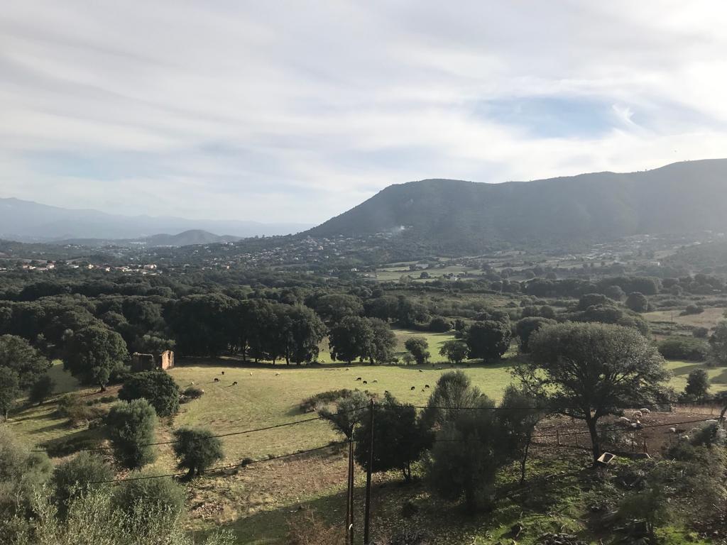 Pâtures, Maquis Corse - U Diceppu - Alata - Ethicorse
