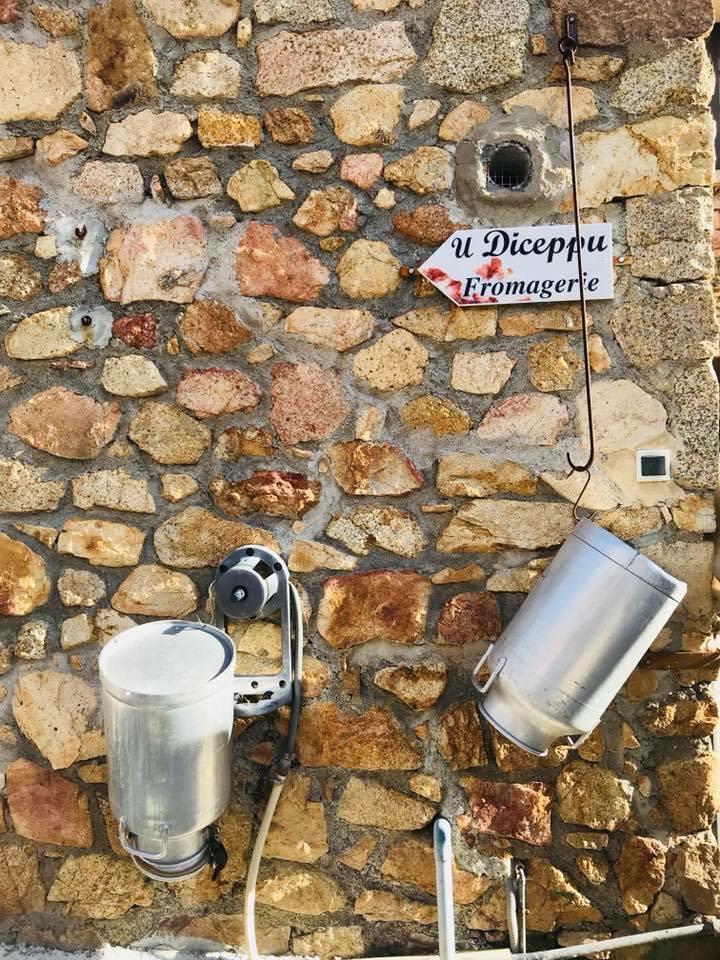 Pot au lait- Bergerie U Diceppu - Ethicorse