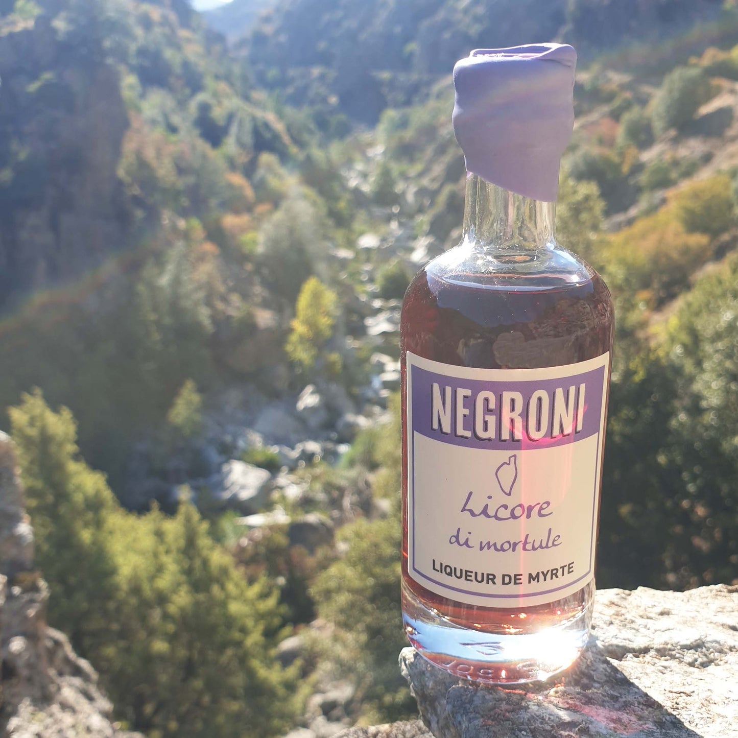 Liqueur de myrte corse - NEGRONI