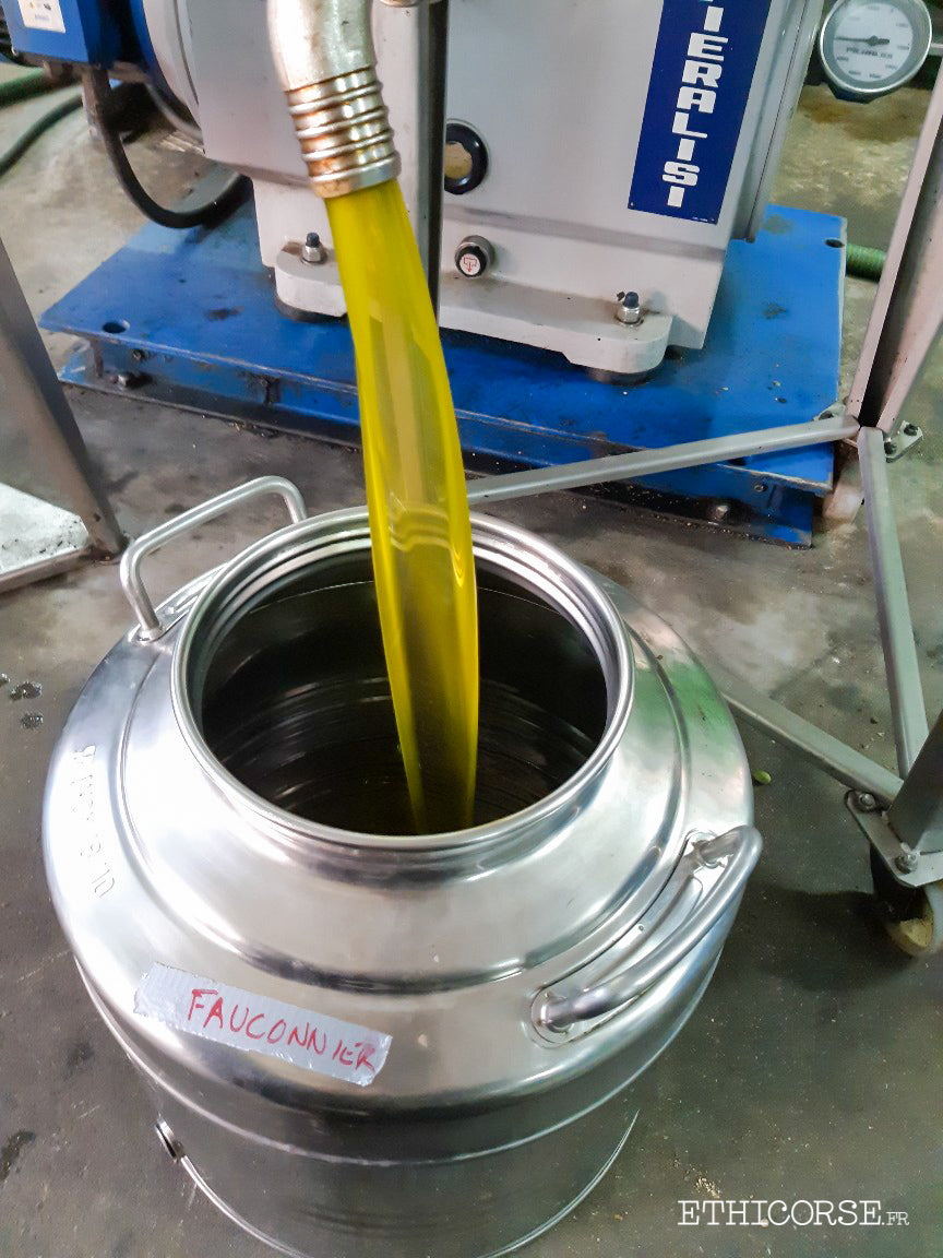 Mise en fût d'huile d'olive