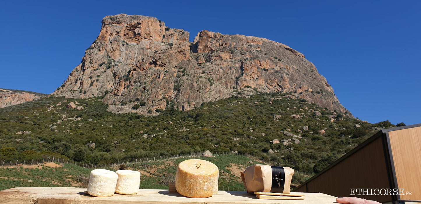 Fromage de chèvres sous le Monte Gozzi