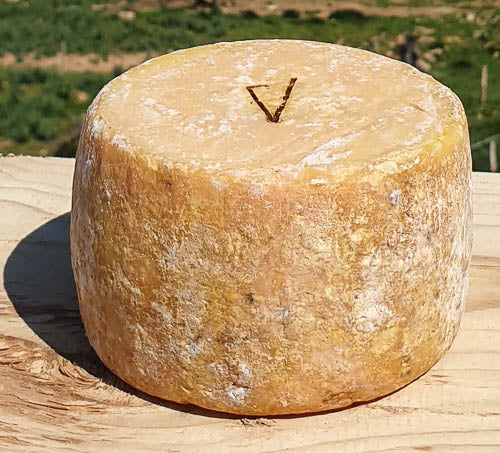 Fromage corse : Tomme de chèvre au lait cru - Passione