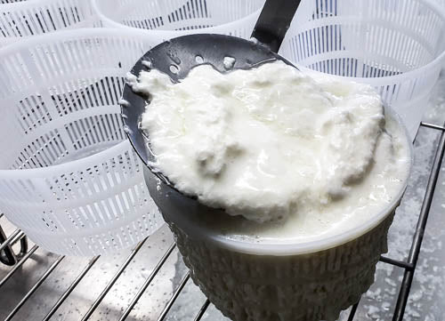 Brocciu A.O.P Chèvre -500g-