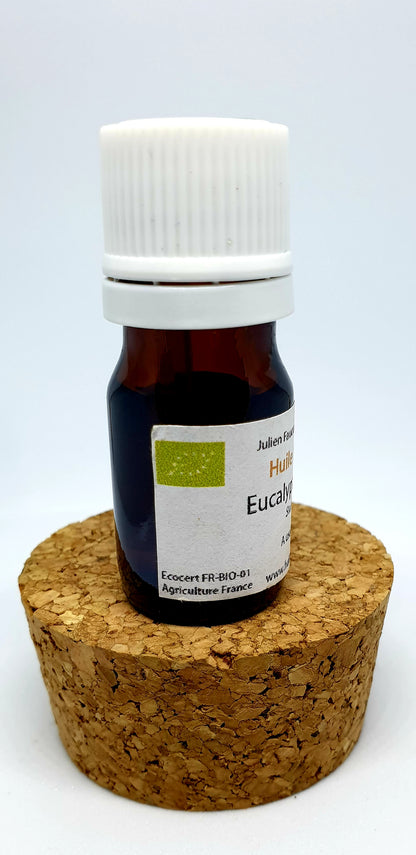 Huile Essentielle Eucalyptus Globulus BIO – Respirez ! –