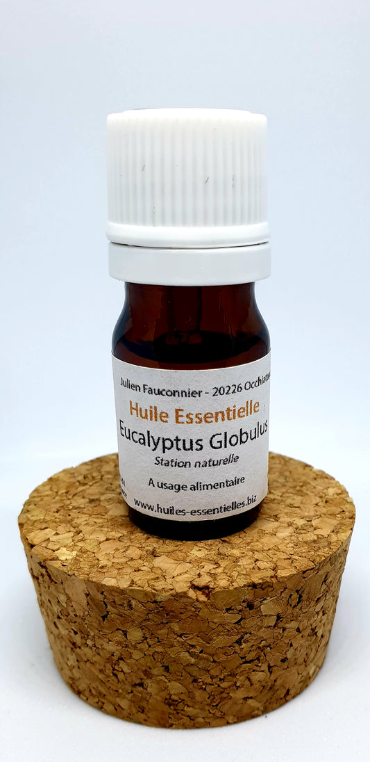 Huile Essentielle Eucalyptus Globulus BIO – Respirez ! –