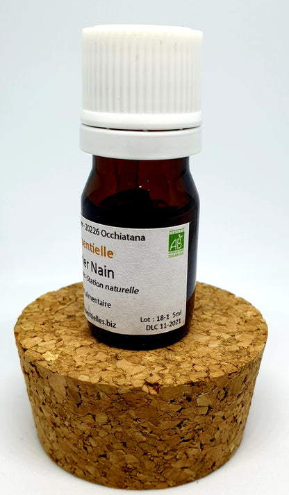 Huile Essentielle Genévrier Nain BIO – L'huile essentielle du sportif ! –