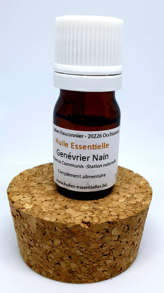 Huile Essentielle Genévrier Nain BIO – L'huile essentielle du sportif ! –