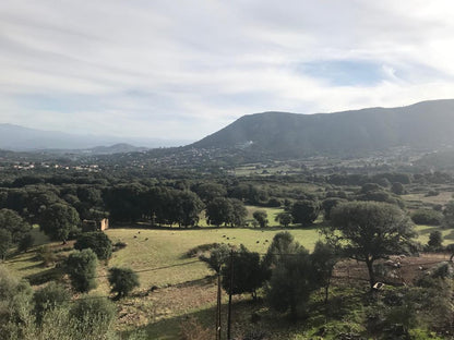 Pâtures, Maquis Corse - U Diceppu - Alata - Ethicorse