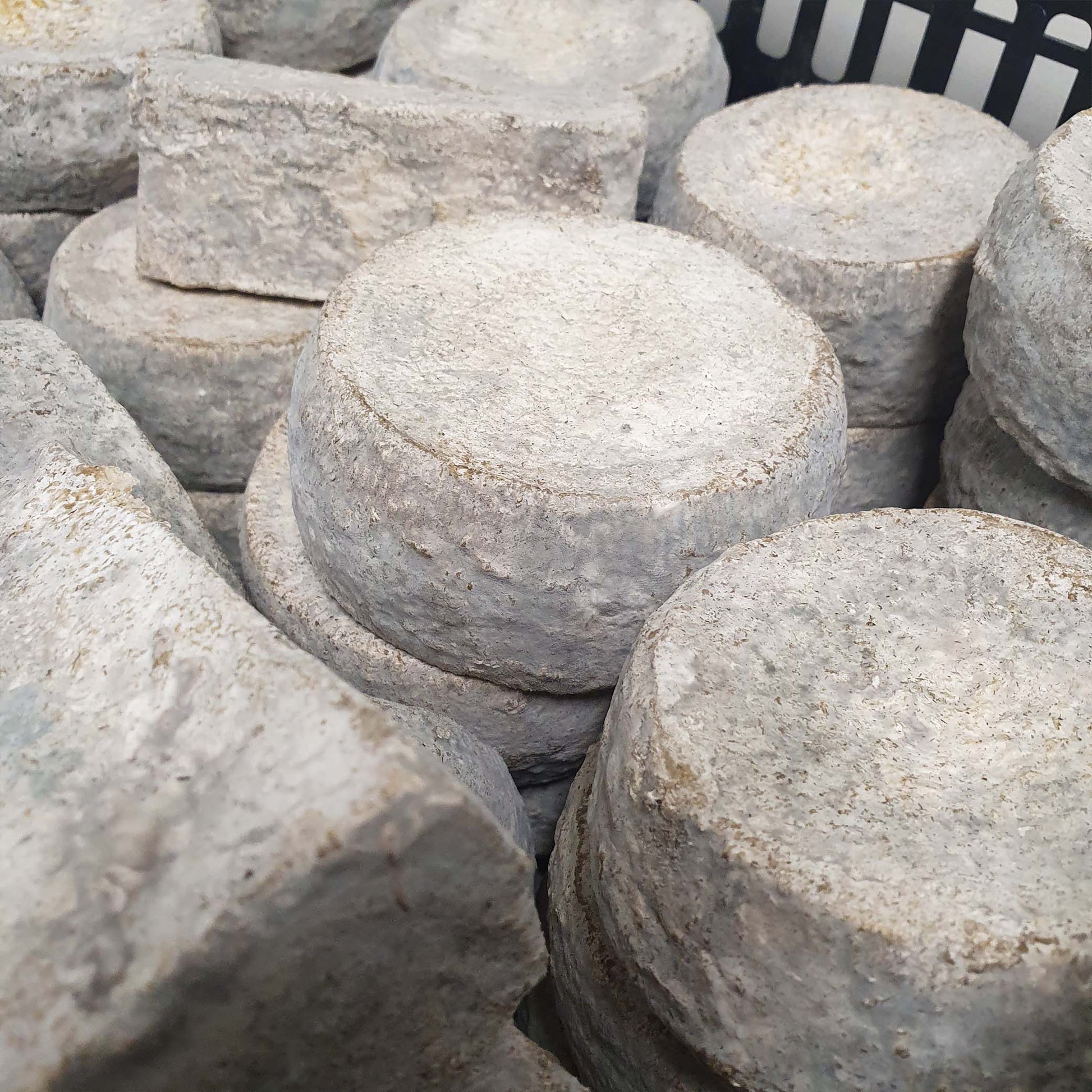 Les fromages - San Martinu - ETHICORSE