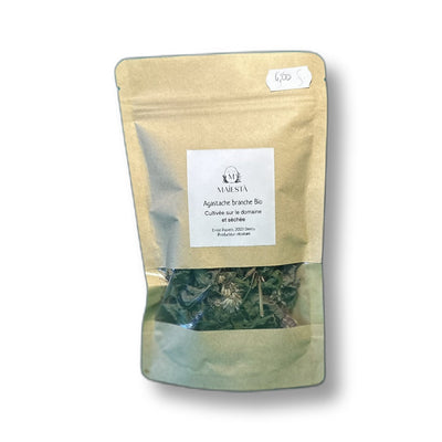 Agastache en Branches Bio Séchées 10g | Maìesta