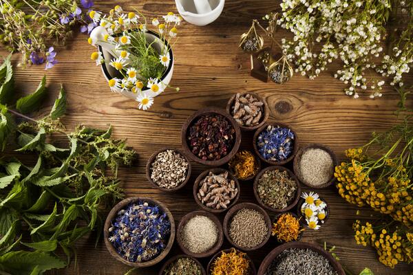 Plantes et Infusions
