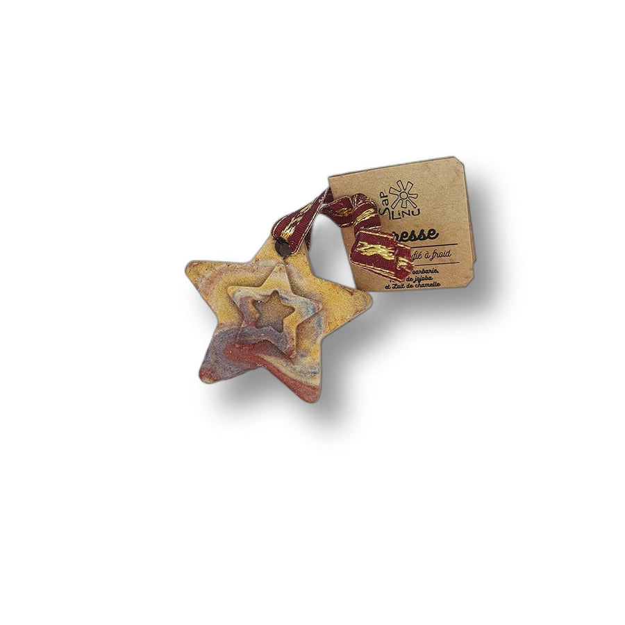 savon-de-noel-etoile-sapolinu-la-savonnerie-de-coti