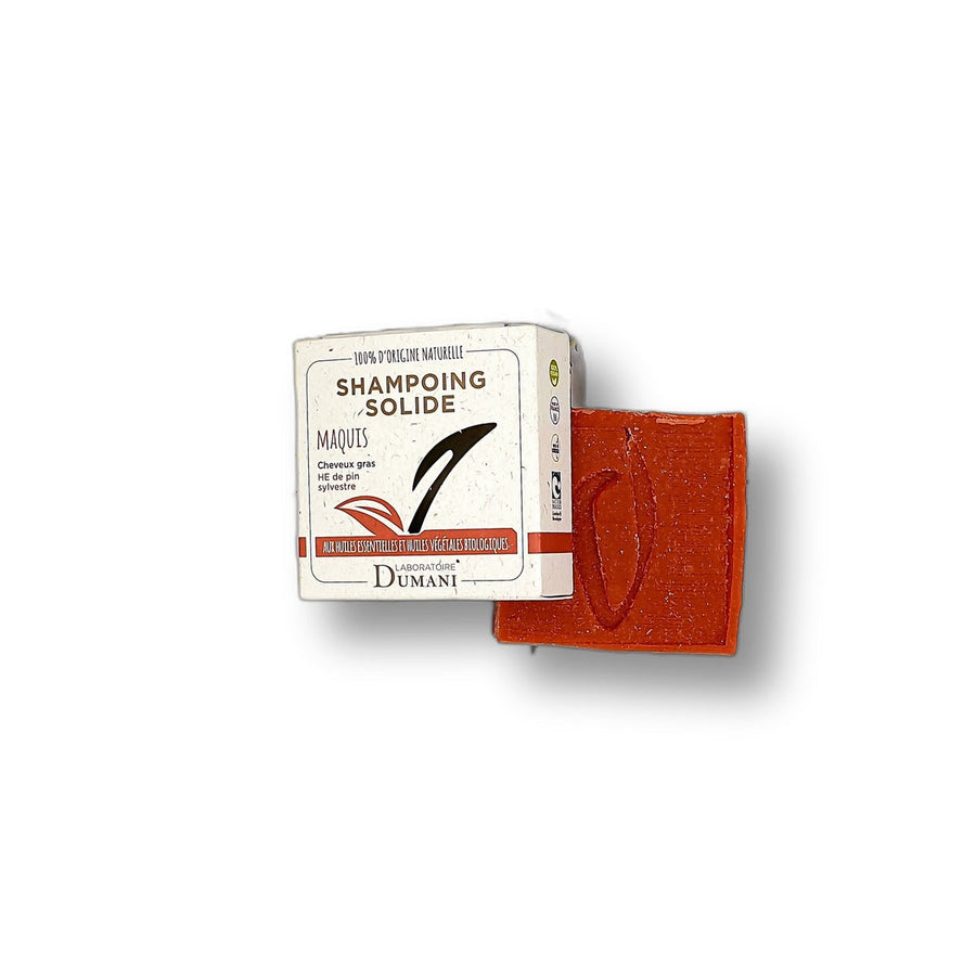 shampoing-solide-cheveux-gras-90g