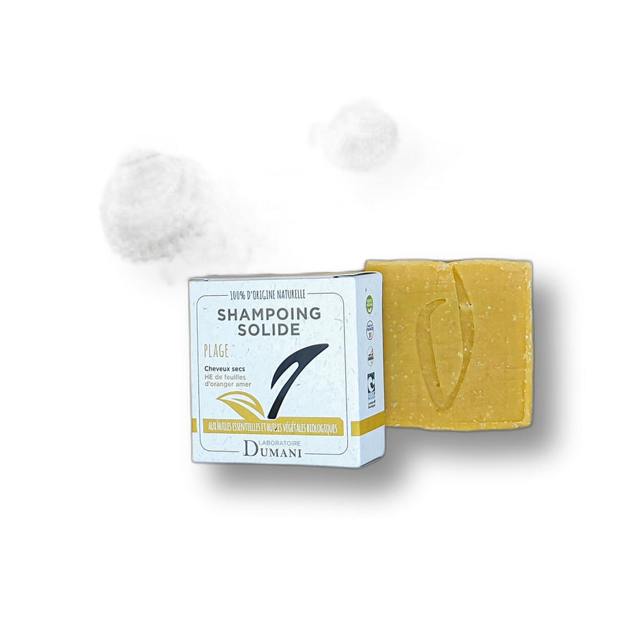 shampoing-solide-cheveux-secs-90g